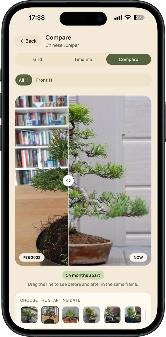 Bonsai Pilot: comparação de fotos